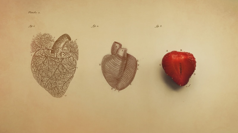 plant, pattern, heart shape, no people, indoors, food and drink, 1080P, minimalism, vintage, food, creativity, red, infographics, strawberries, emotion