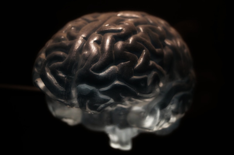 single object, science, metal, representation, isolated On Black, 5K, profile view, Brain, ominous, body part, day, healthcare And Medicine, human skeleton