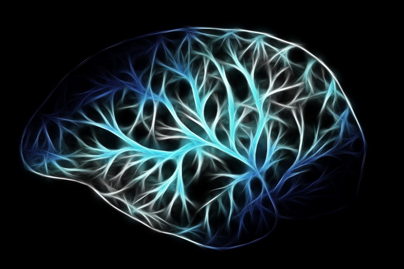 5K, brain, studio shot, curve, light - natural phenomenon, link, motion, networking, blue, black, abstract, human, no people, design, think, physiology