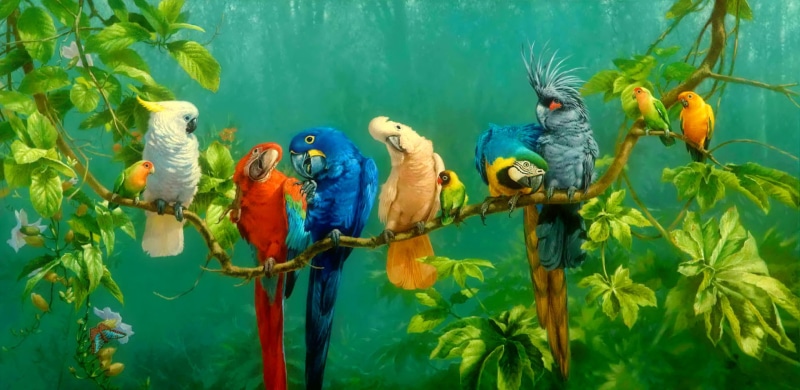 Birds, Macaw, plant, vertebrate, animal, Tropical, Leaf, group of animals, multi colored, 1080P, animals in the wild, Parrot, Cockatoo, two animals, Bird