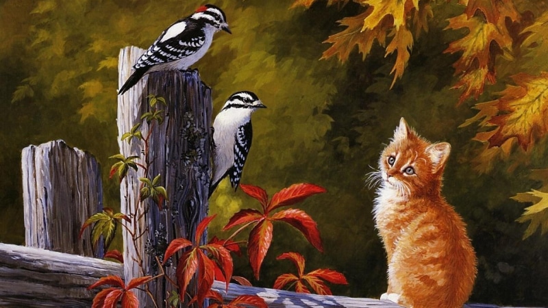 bird, painting, 1080P, acrylic paint, kitten, birds, beak, fauna, autumn, mood, cat, art, wildlife