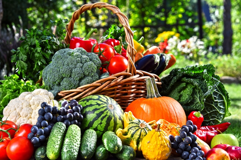 5K, watermelon, apples, cucumbers, fruit, carrots, pumpkin, grapes, basket, eggplant, vegetables, greens, garden, tomatoes, cabbage, pepper