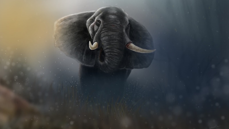 by Jaleel Muhammed, Figure, Giant, Art, Jaleel Muhammed, Elephant, The Desolated Tusker, Animal, 1080P, Tusks