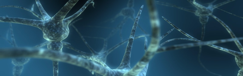 plant, cell, biology, abstract, aggression, full frame, no people, sea, studio shot, climbing, brain, magnification, wire, close-up, science, underwater