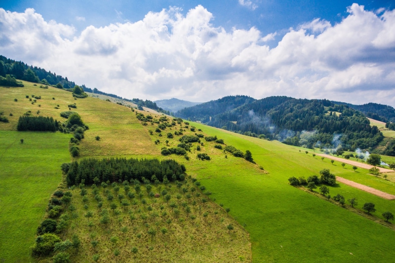 farm, Green Grass, hill, scenics - nature, no people, rural Scene, green Color, tree, scenics, agriculture, mountains, Trees, green, field, grass, cloud - Sky
