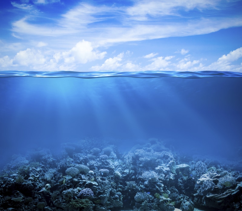 Underwater, Coral Reef, Under the Sea, 4K, 4K