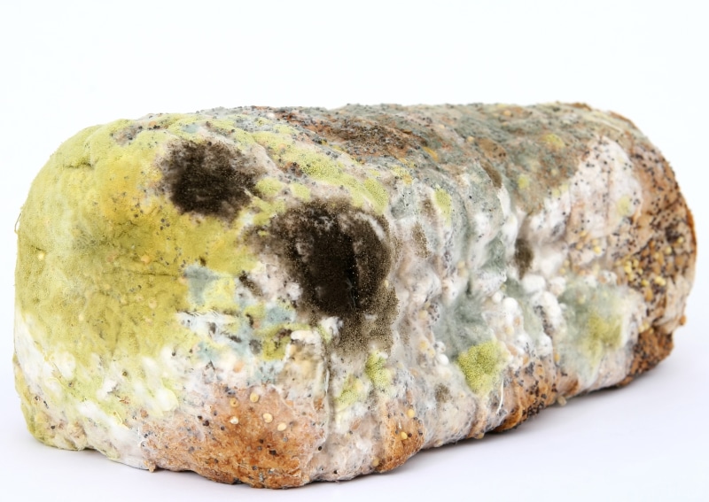 semi-precious gem, stone - object, harmful, mineral, unhealthy, rock - object, rectangular, bio, infection, drug, solid, breakfast, slice, micro, white