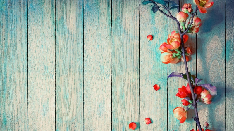wooden, flowers, plant, table, 1080P, petals