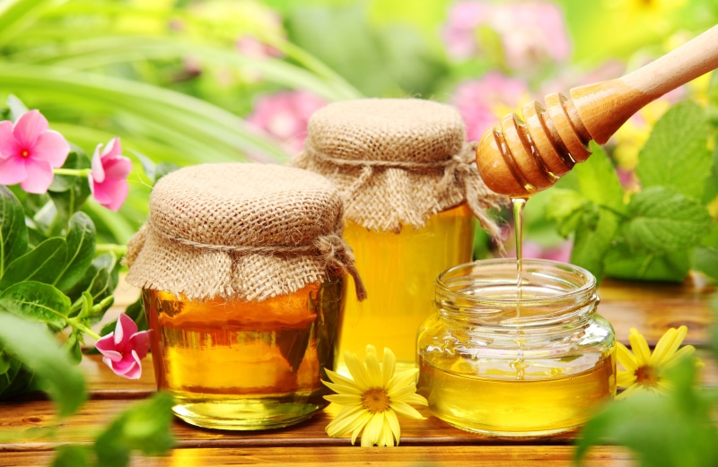 leaf, wood - Material, herbal Medicine, vulnerability, healthy Lifestyle, freshness, jars, bamboo Dipper, drink, liquid, plant, spoon, beauty in nature
