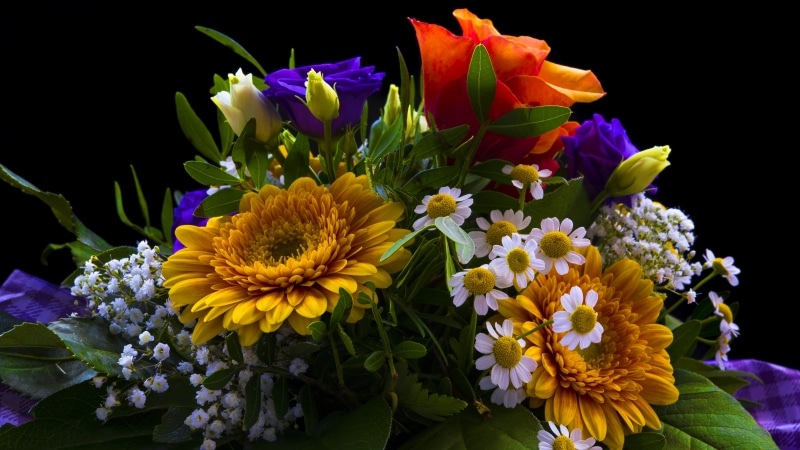 close-up, flower arrangement, flower head, asters, growth, multi colored, Roses, macro, gift, freshness, sunny yellow, marry, bunch of flowers, yellow