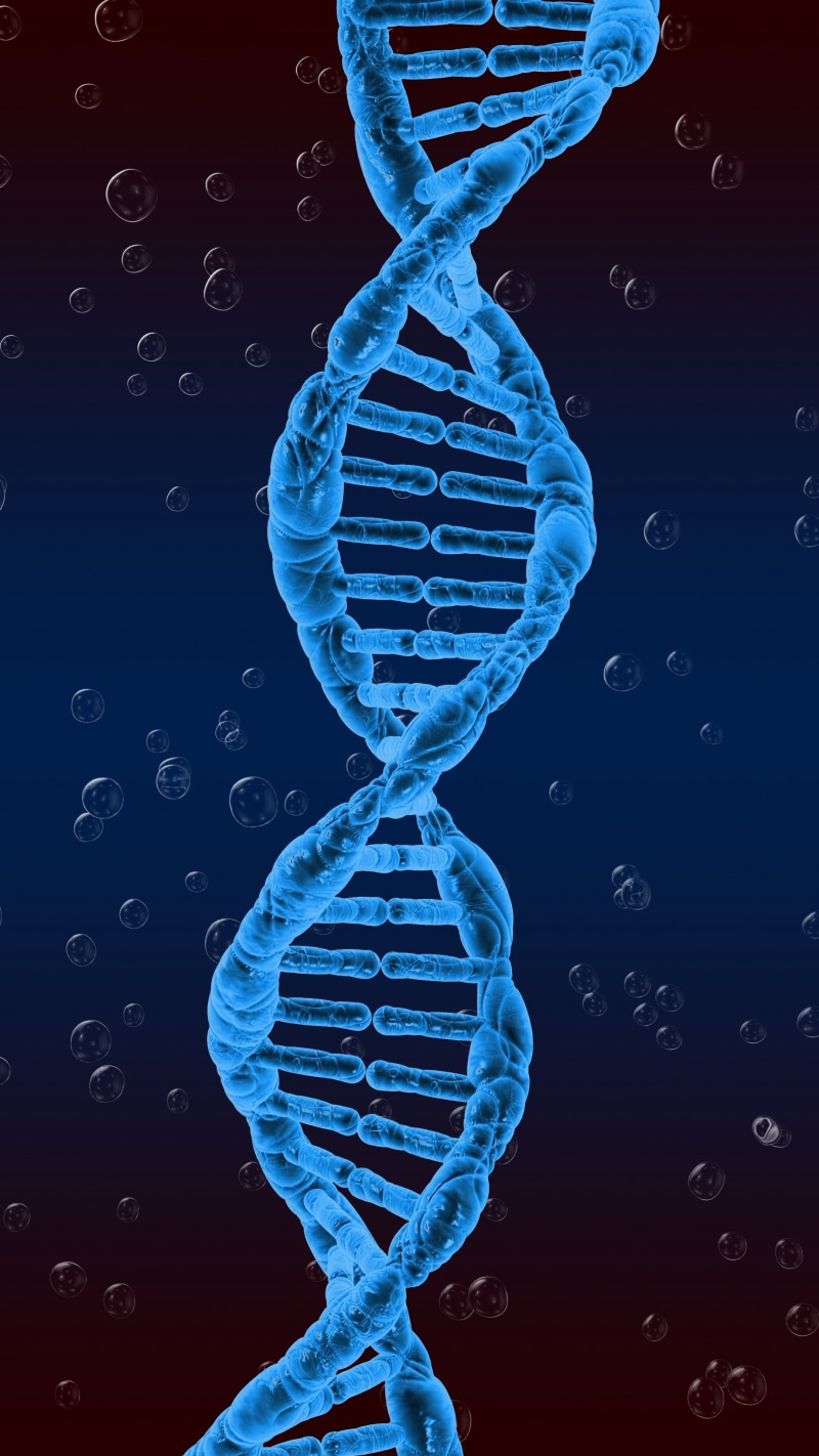 twisted, genetics, 4K, dna, spiral