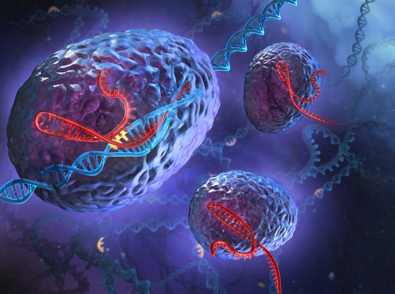 multi colored, studio shot, spirals, animal themes, purple, cancer Cell, abstract, research, animal, backgrounds, sphere, human Cell, genetics, globe - man made object