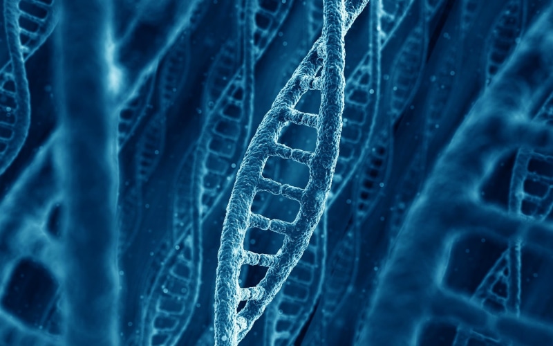 dna, 1080P, chain, the nature of, blue, graphic, molecule, a DNA chain
