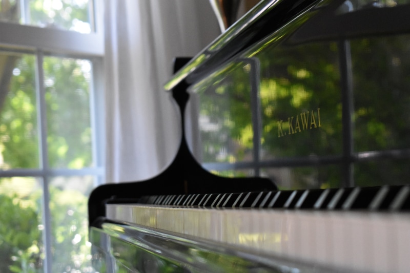 orchestra, concert, black, close-up, day, focus on foreground, sunlight, tree, musician, transparent, play, no people, mode of transportation, white, arts culture and entertainment