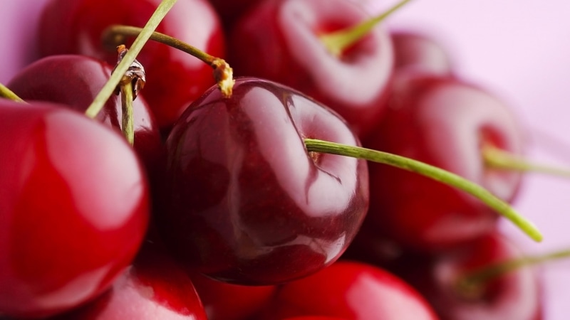 garden, juicy, delicious, cherries, 1080P, leaf, eating, health, berry, succulent, gourmet, vitamin, stem, organic, natural, fruit, fresh, cherry, dessert
