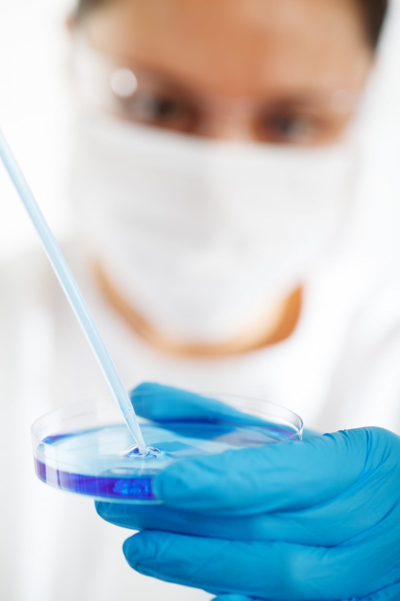 professional, chemistry, close up photography, surgical glove, blue, scientific experiment, laboratory, person, technology, biology, people, close, close-up