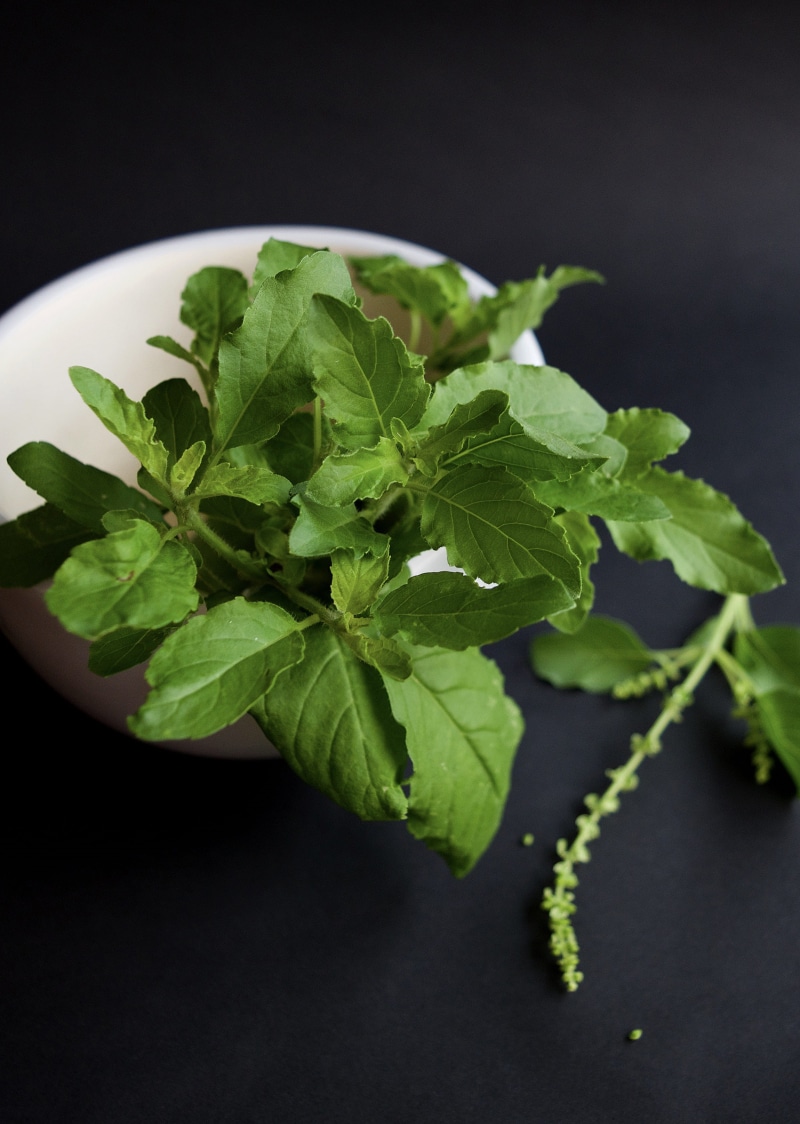 basil, cooking, green, remedy, food, food and drink, natural, garnish, organic, wellbeing, garden, leaves, plant part, nature, ayurveda, still life, health