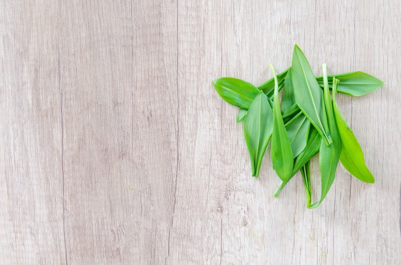 garlic, directly above, organic, indoors, no people, freshness, green, eating, close-up, rope, green color, fresh, bear, food and drink, aromatic, still life