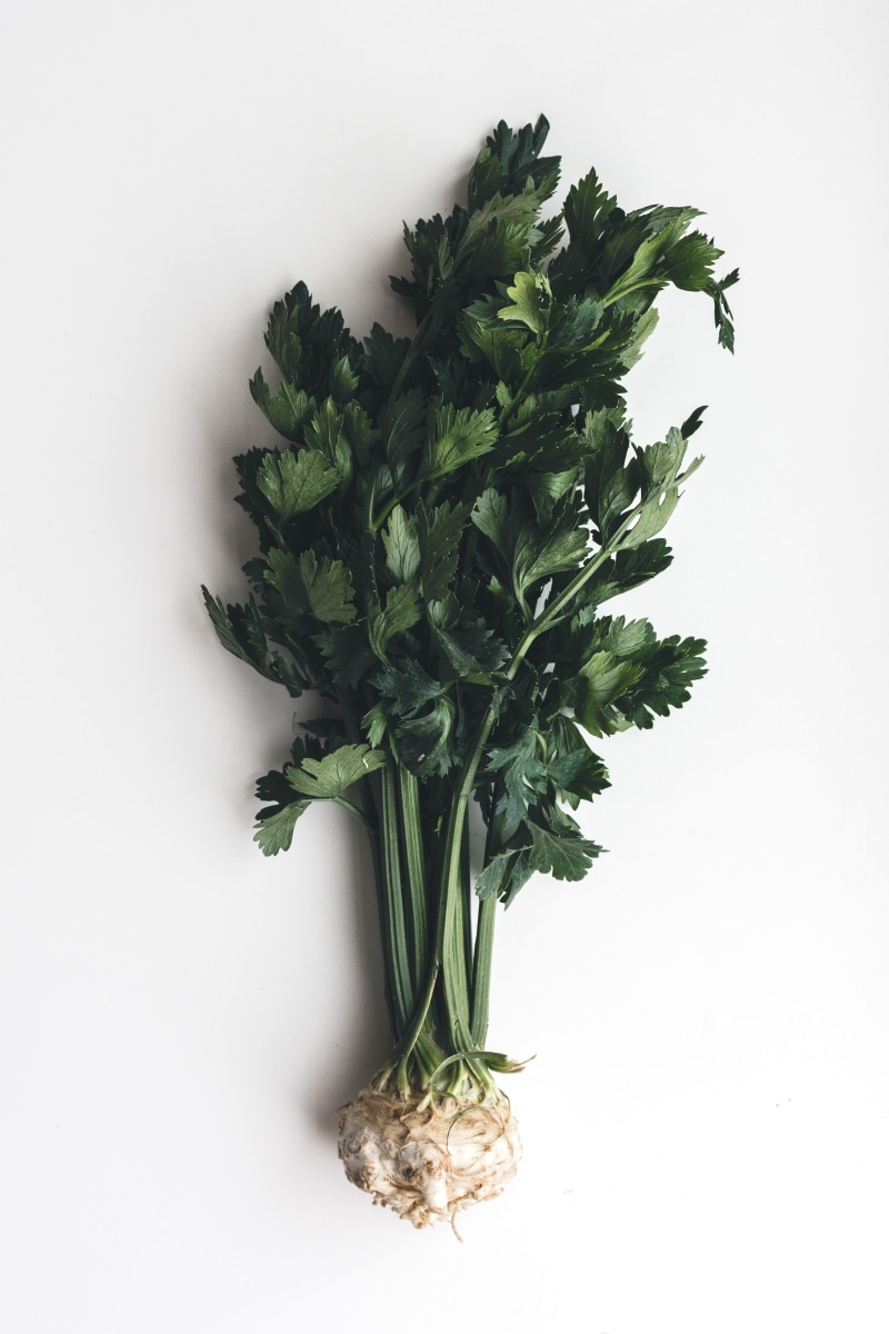 flower arrangement, raw Food, leaf, spice, Wonderful, food and drink, freshness, plant part, vegetarian Food, indoors, wellbeing, ingredient, nature, celery