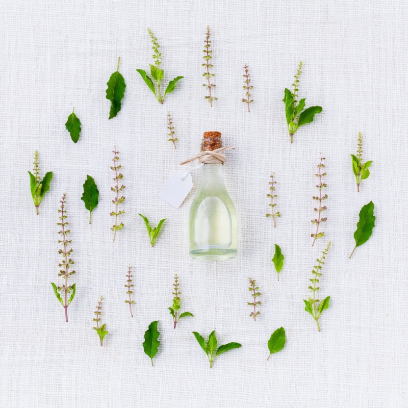 no people, choice, day, aromatic, raw, white background, green color, 2K, hot, herbal, holy, plant, essential, cooking, still life, knolling - concept