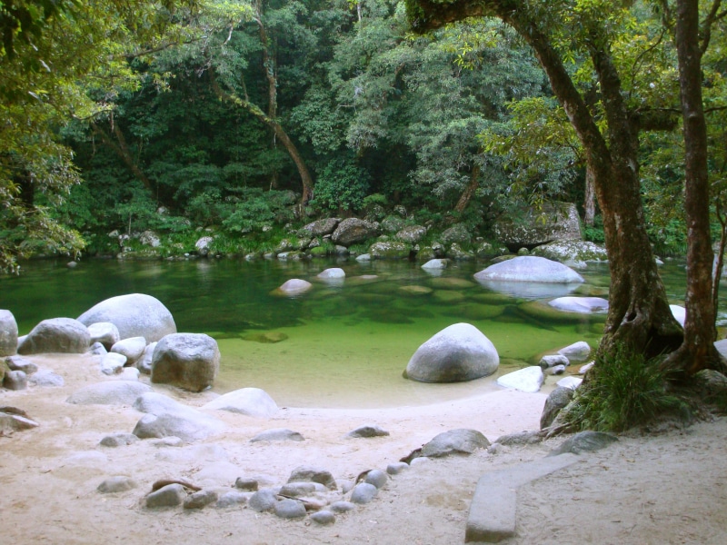 god, relaxation, in the green, mossman gorge, buddha, tranquility, grey, green color, clear, environment, romantic, crystal clear, cool, river, atmosphere