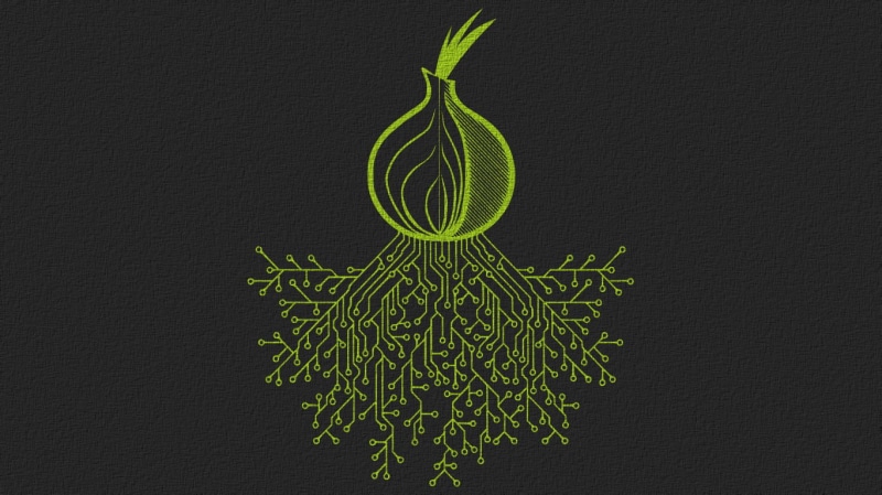 studio shot, internet, pattern, vegetable, directly above, food, no people, nature, plant, close-up, green color, still life, wellbeing, freshness, onion