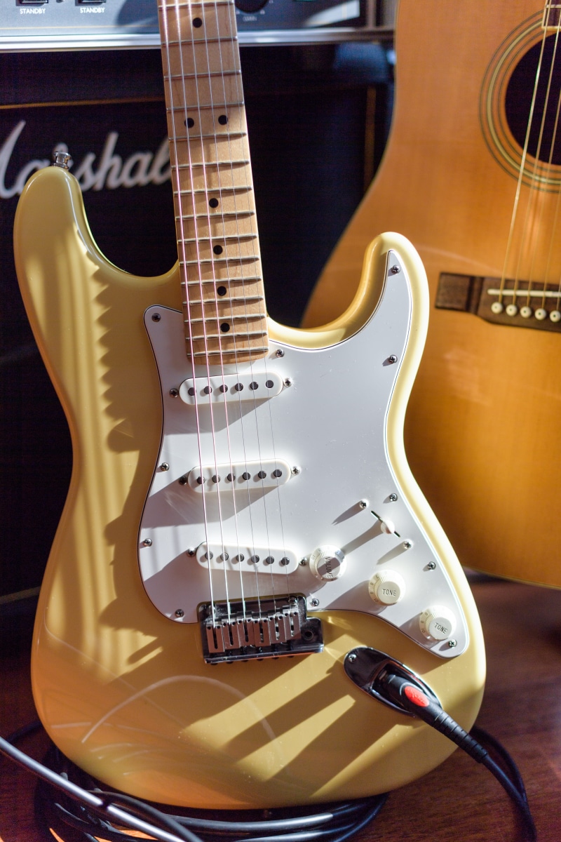 musical instrument string, 5K, electric, fretboard, musical equipment, string instrument, closeup, indoors, white, still life, rock music, bass guitar