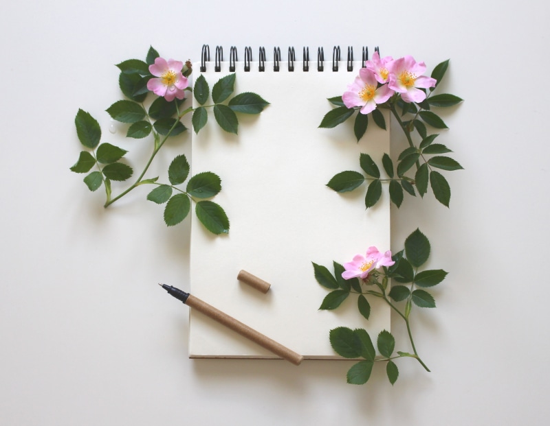 contemplation, studio shot, purple, flowers, leaf, notes, book, love letter, study, roses, schreiber, romantic, petal, flower, diary, 4K, arrangement