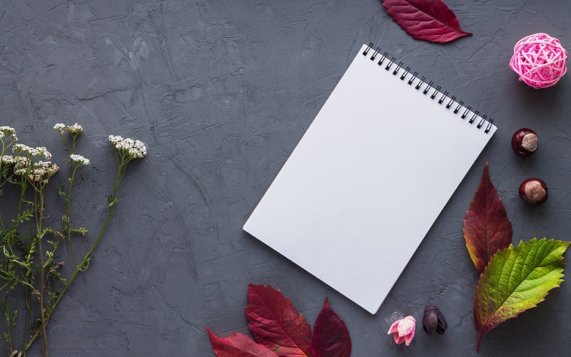note pad, near, 4K, no people, pencil, book, high angle view, plant, paper, pen, flower, write, flowering plant, notebook, message, nature, flowers, open notebook