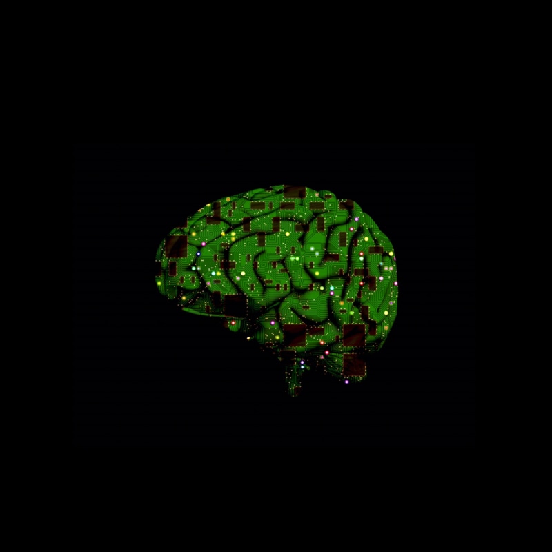 artificial intelligence, plant, close-up, food and drink, black background, cut out, circuits, no people, green color, wellbeing, growth, brain, studio shot