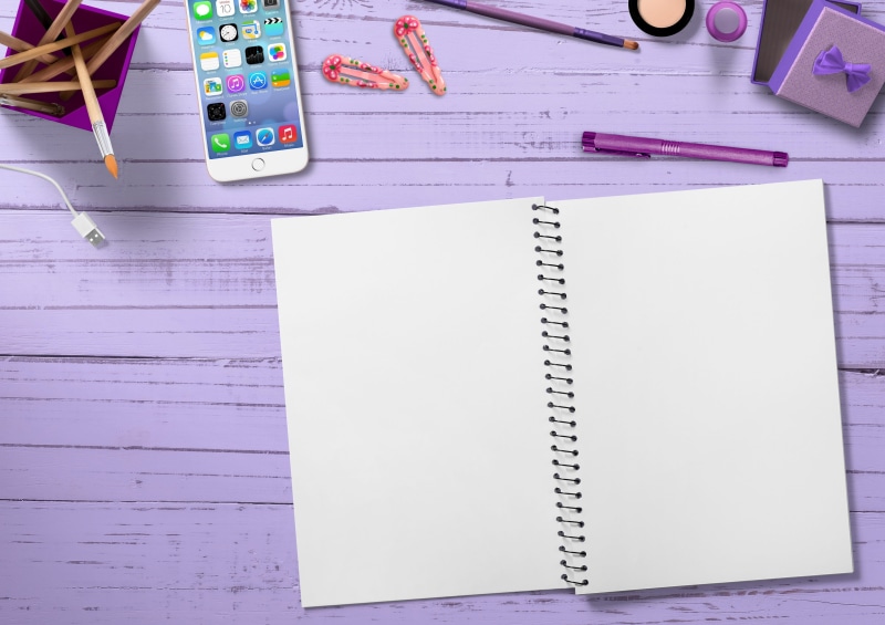 brush, writing-book, teenager, education, notebook, hair clips, pen, still life, leave, young girl, pencil, high angle view, pen box, scene, no people