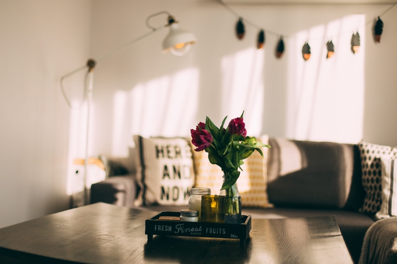 vulnerability, selective, living, flower head, decor, two, interior design, pillow, living Room, Afternoon, flowers, 5K, flower, home Interior, plant