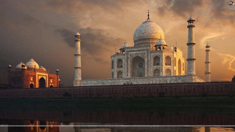 animals, love, tajmahal, symbol, 1080P