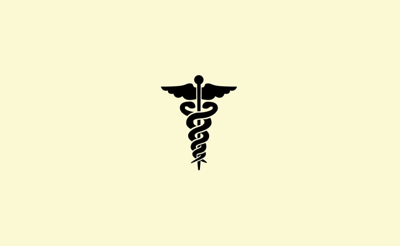 Vector Art, communication, caduceus, representation, indoors, animal themes, cut out, black color, logo, text, art and craft, guidance, 2K, bird, Aero
