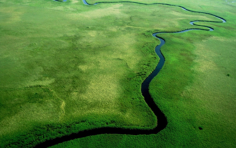 nature, aerial view, river, 1080P, green