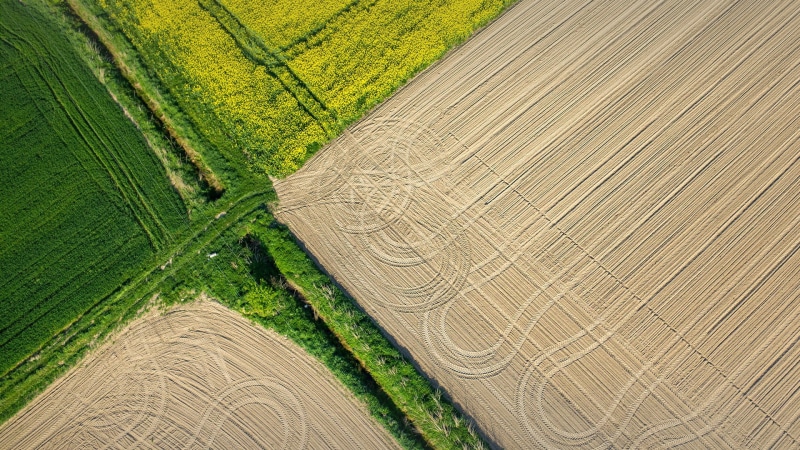 field, green, 1080P, aerial view, landscape