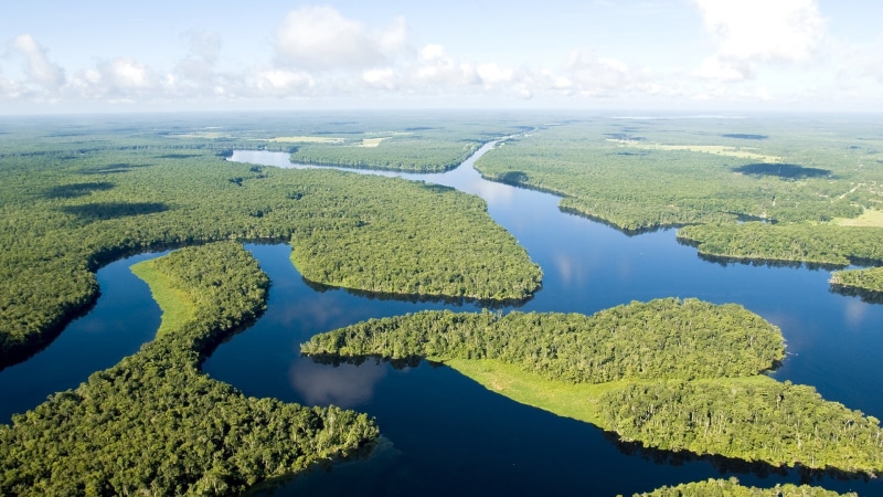 horizon, no people, green, river, green - golf course, 1080P, cloud - sky, jungle, Amazon, horizon over water, green color, aerial view, day, lake, landscape
