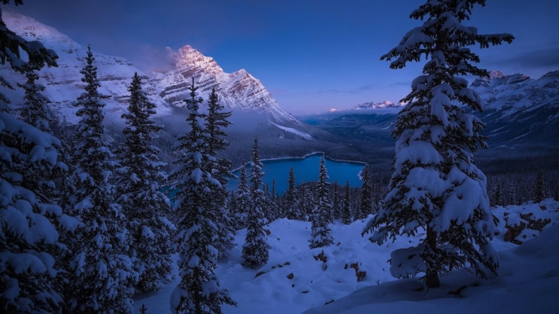 canada, snowcapped mountain, sky, beauty in nature, mountain range, no people, plant, mountain, tranquility, national park, mountainous landforms, scenics - nature