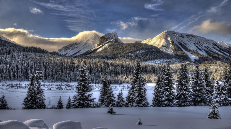 wilderness, mountainous landforms, freezing, cloud, mountain, winter, snow, sky, mountain range, mount scenery, nature, 4K, tree, morning