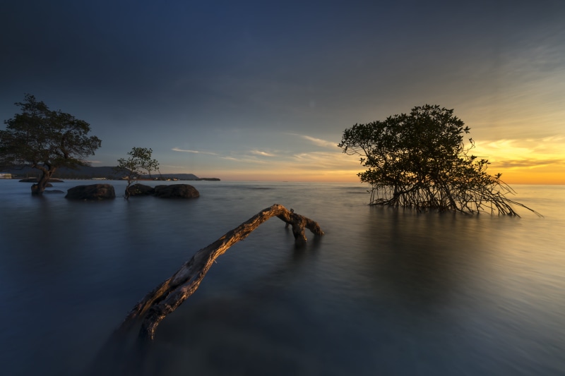 trees, long, the sea, outdoors, phuquoc, clouds, cloud - sky, scenics - nature, wood, natural, dawn, sky, horizon, nature, water, non-urban scene, sea