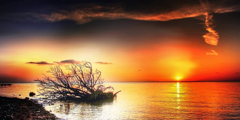 romantic, orange color, sky, rock, body of water, tranquility, baltic sea, morgenstimmung, morning sun, morning light, island, tree, moen, near, blue sky