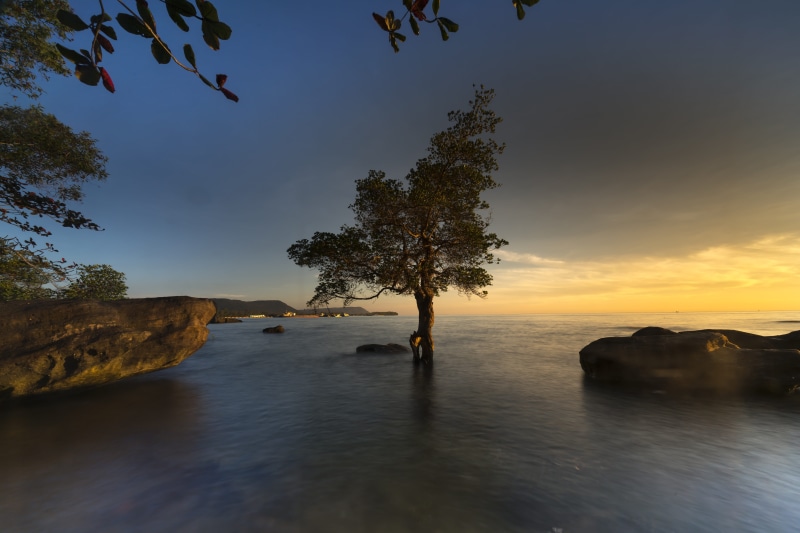 the horizon, travel, the beauty, orange, the morning, waterfront, sunset, vietnam, reflection, phuquoc, mangrove, non-urban scene, tropical, natural, scenics - nature