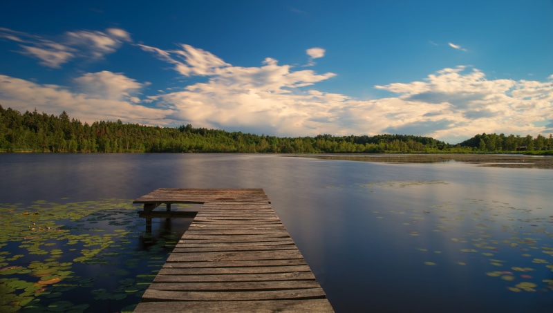 idyllic, jetty, nice place, pier, water lilies, wood paneling, good weather, summer, forest, lake, vision, tranquility, long exposure, scenics - nature