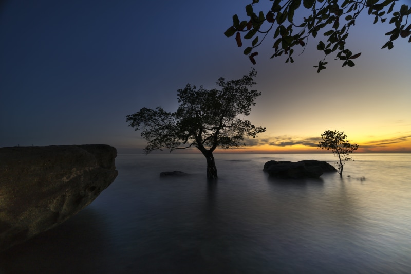 reflect, background, template, sea, plant, tree, light, beauty in nature, color, lonely, orange, sky, trees, vietnam, waterfront, the beauty, tropical
