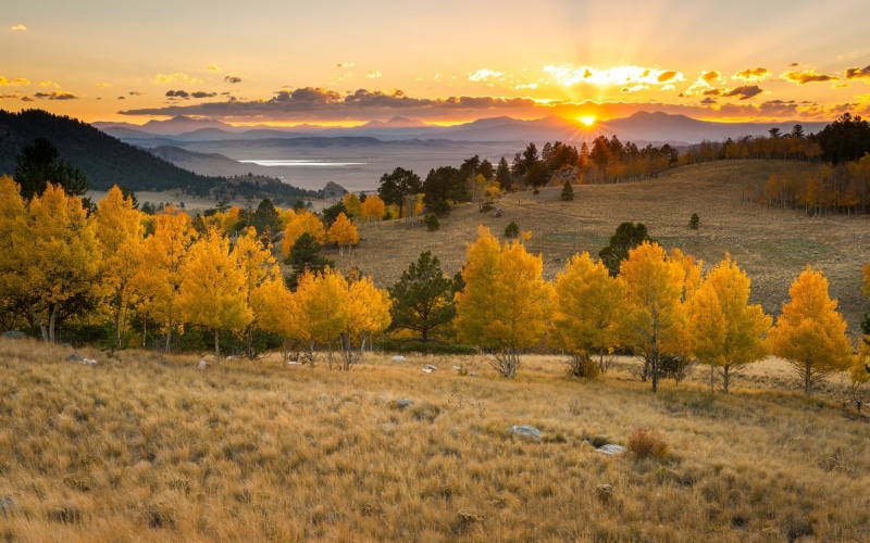 Sun, Rays, Trees, 1080P, Sunset, green, Sky, Mountains, leaf, Clouds, Grass