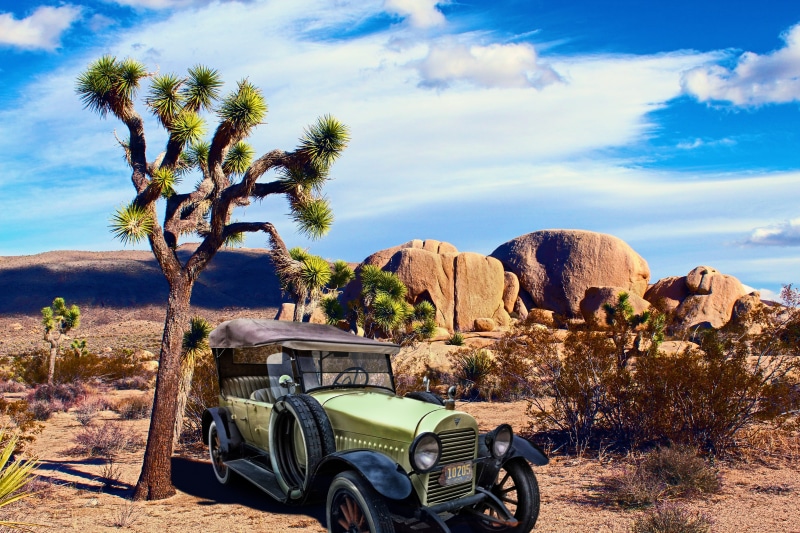 joshua tree, antique, land vehicle, travel, summer, 5K, land, phaeton, retro, ride, rocks, hudson, mojave, imperial valley, day, 1921 phaeton, scene, arid climate