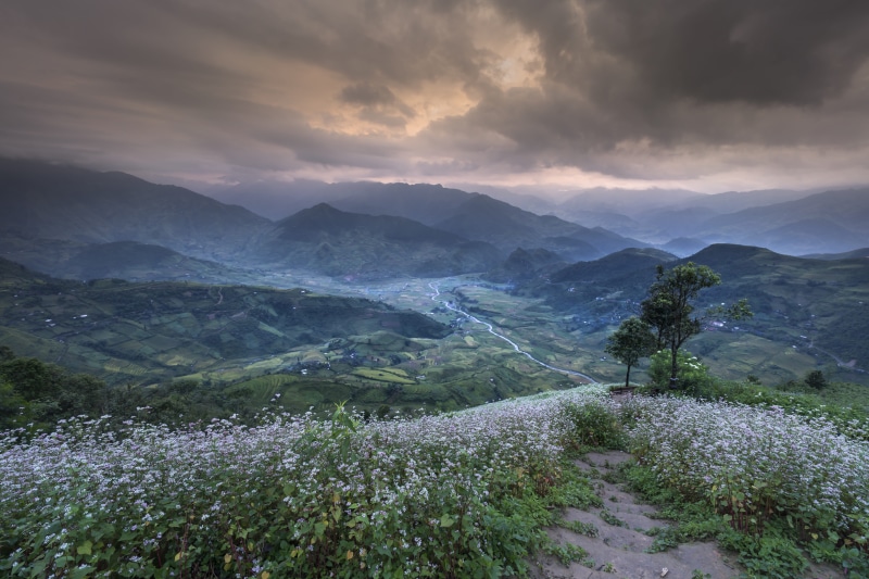 no people, cloud - sky, the sun, hills, travel, tranquility, i, green, tree, dawn, agriculture, skydiving, beauty in nature, leafed, buckwheat flower, mountain