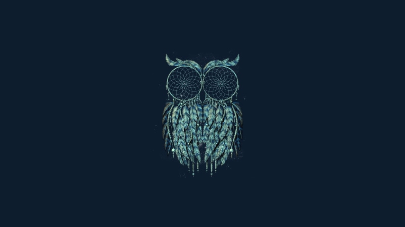owl, minimalism, blue background, Dreamcatcher, 1080P