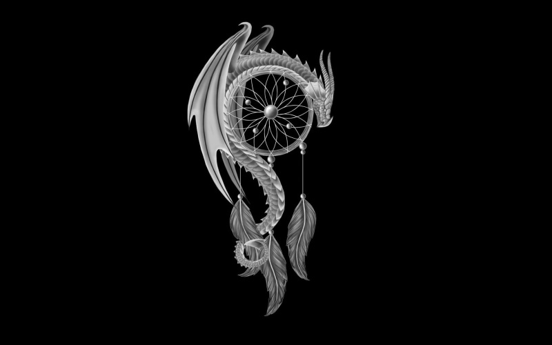 Dreamcatcher, wheel, shape, 1080P, studio shot, animal themes, animal wildlife, minimalism, illustration, feathers, flower head, invertebrate, no people
