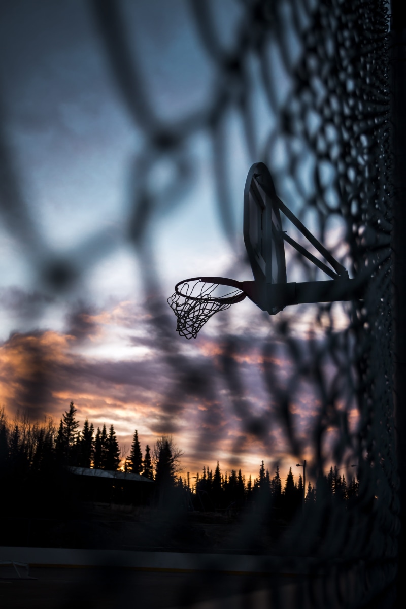 pink, basketball - sport, alaska, tree, sky, ring, motion, mid-air, ball, play, net - sports equipment, wall, court, outdoor, cloud - sky, purple, net